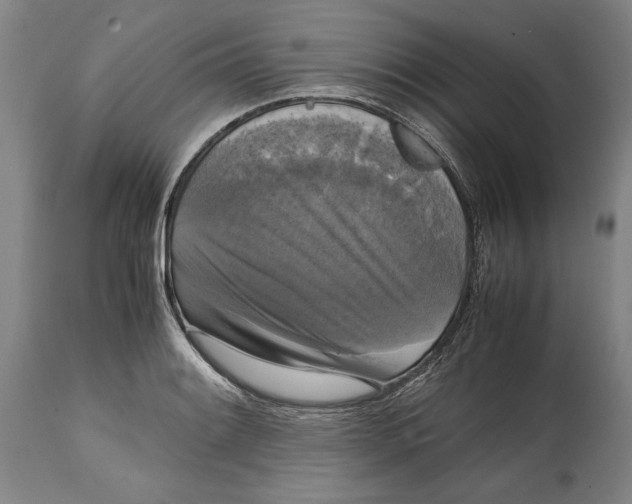 X0000114621084200911101209