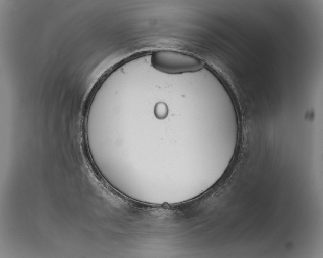 X0000114621085200911101209
