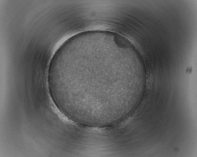 X0000114621086200911101209