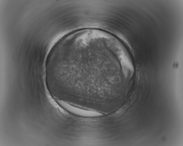 X0000114621088200911101209