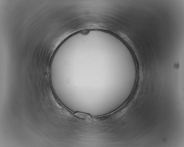 X0000114621089200911101209