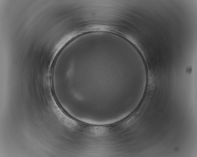 X0000114621090200911101209