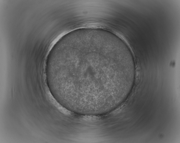 X0000114621091200911101209