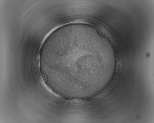 X0000114621092200911101209