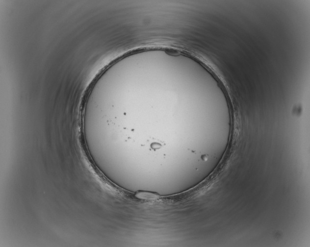 X0000114621093200911101209