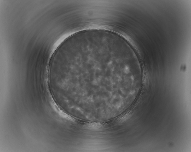 X0000114621094200911101209
