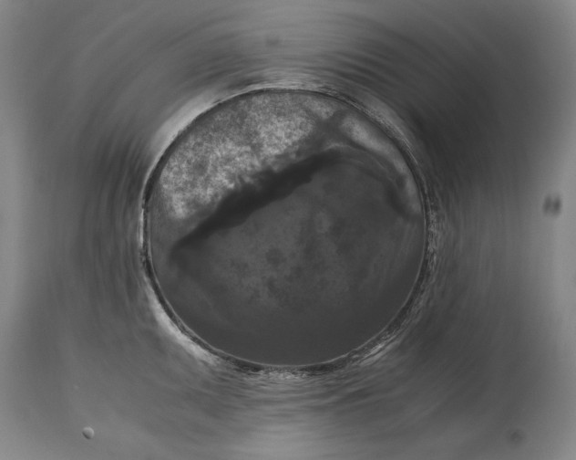 X0000114621095200911101209