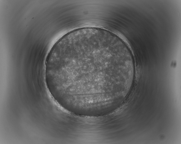 X0000114621096200911101209