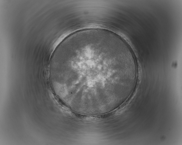X0000114621097200911101209