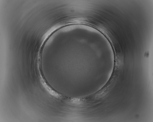 X0000114621098200911101209