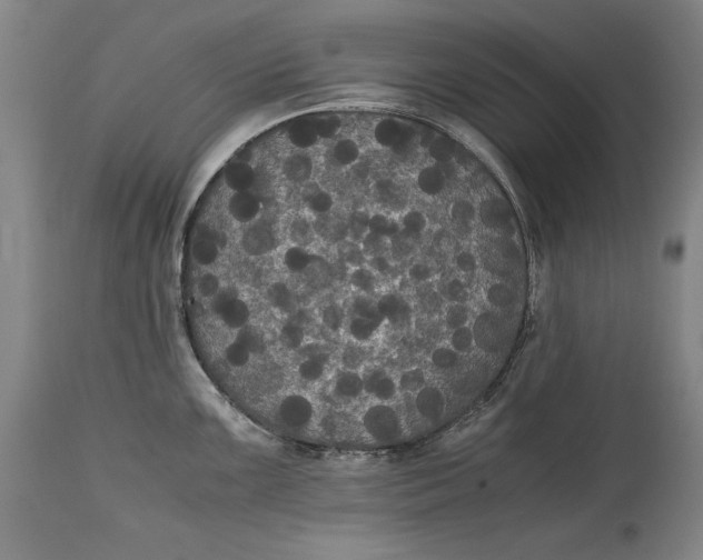 X0000114621099200911101209