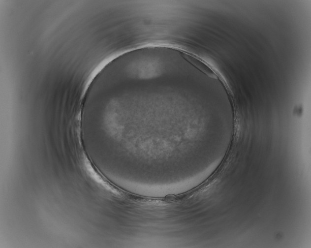 X0000114621100200911101209