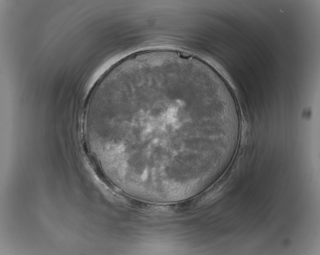 X0000114621101200911101209