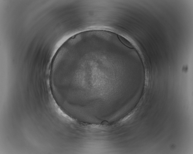 X0000114621102200911101209