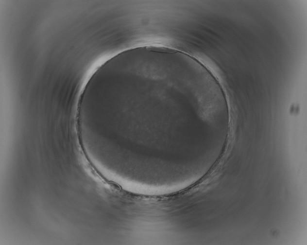 X0000114621104200911101209