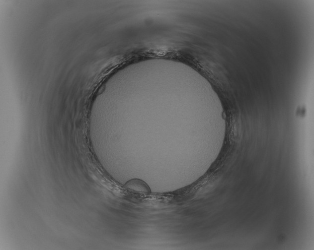 X0000114621105200911101208