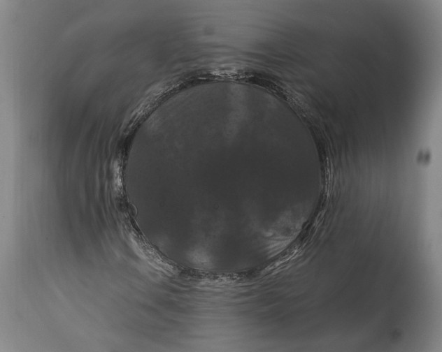 X0000114621106200911101208