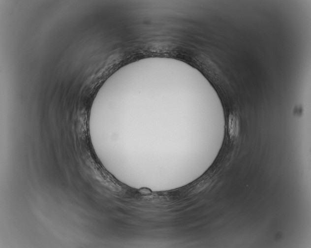 X0000114621107200911101208