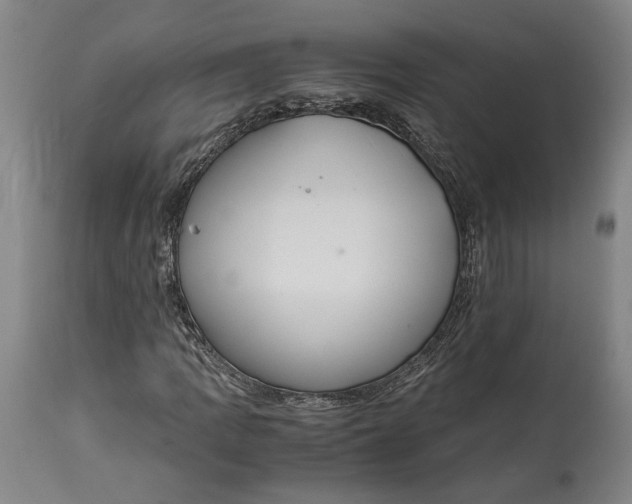 X0000114621109200911101208