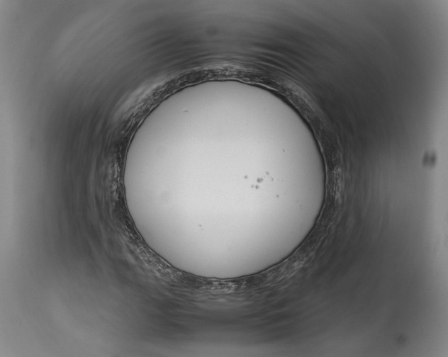 X0000114621111200911101208