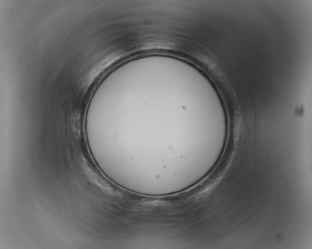 X0000114621113200911101208