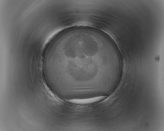 X0000114621115200911101208