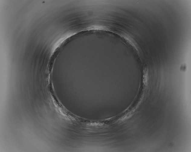 X0000114621117200911101208