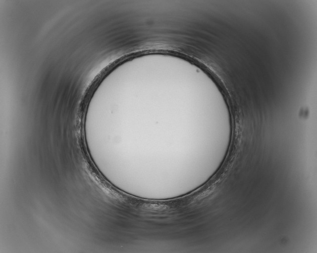 X0000114621119200911101208