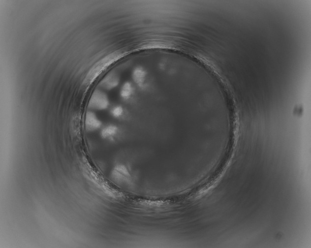 X0000114621121200911101208