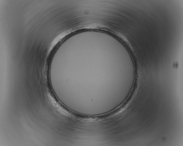 X0000114621122200911101208