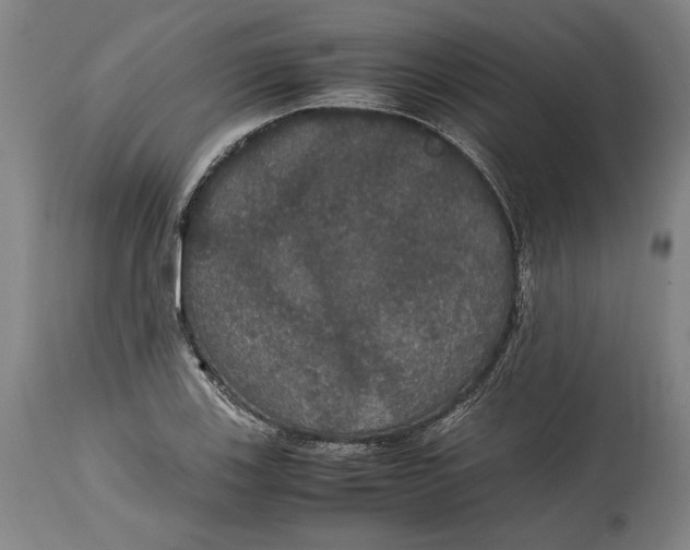 X0000114621123200911101208