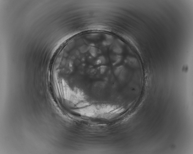 X0000114621125200911101208