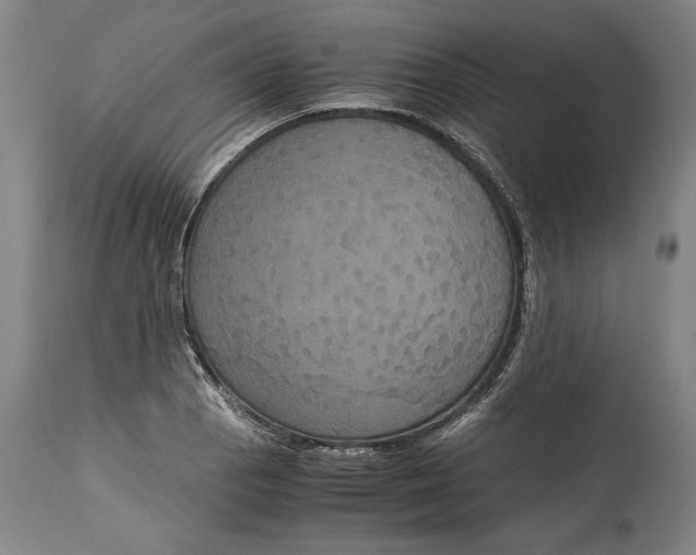 X0000114621129200911101208