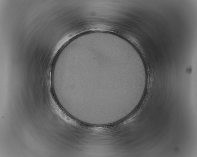 X0000114621130200911101208