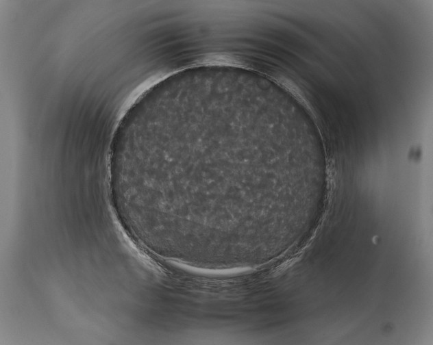 X0000114621133200911101209