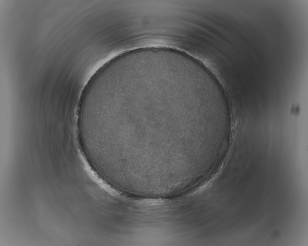 X0000114621134200911101209