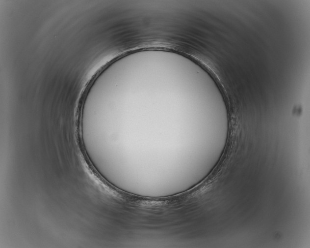 X0000114621135200911101209