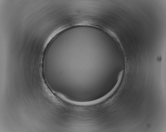 X0000114621138200911101209