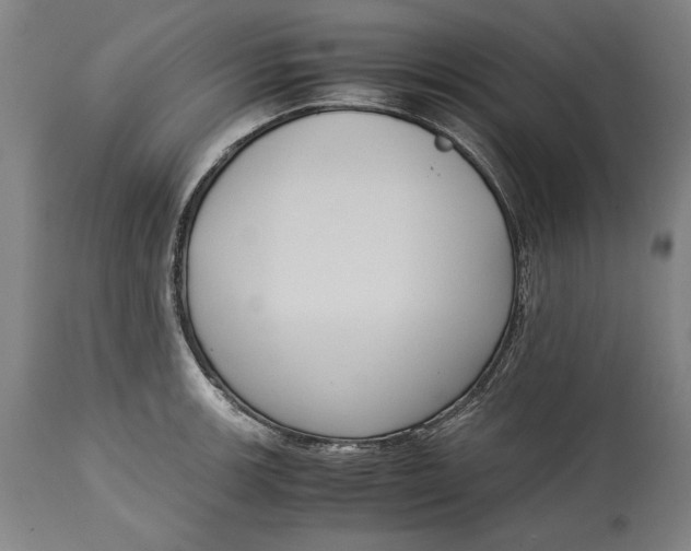 X0000114621139200911101209