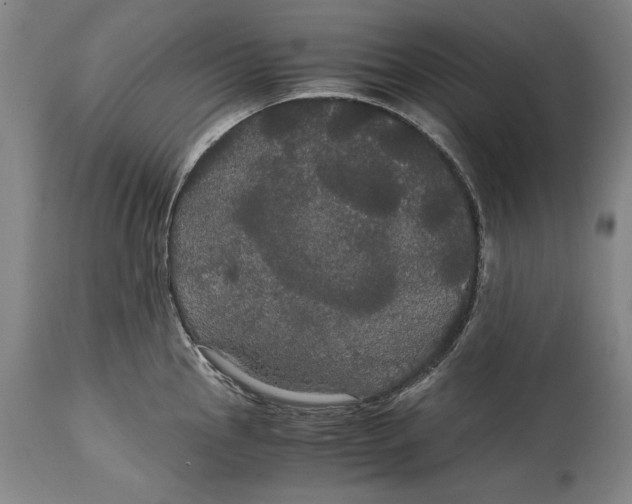 X0000114621145200911101209