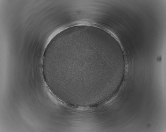 X0000114621146200911101209