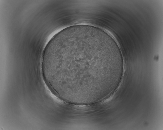 X0000114621149200911101209