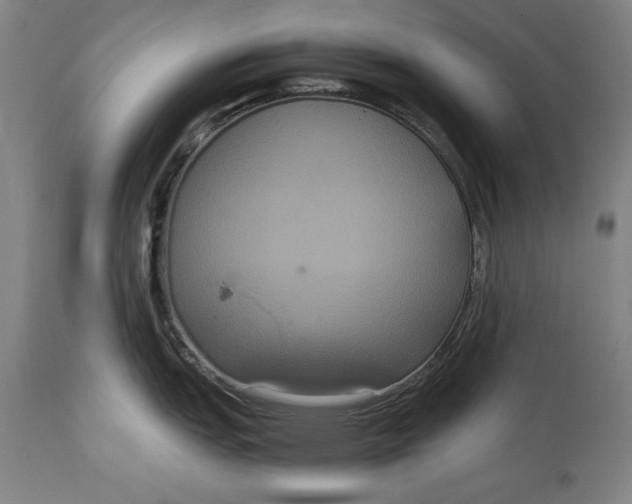 X0000114621151200911101209