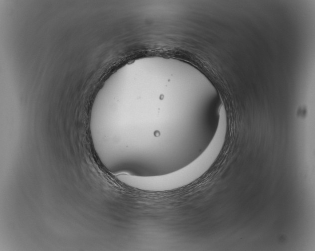X0000114621153200911101208