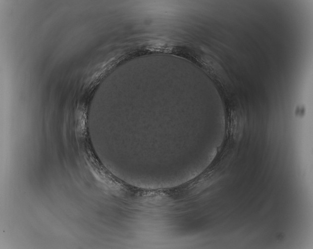 X0000114621154200911101208