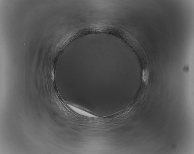 X0000114621155200911101208