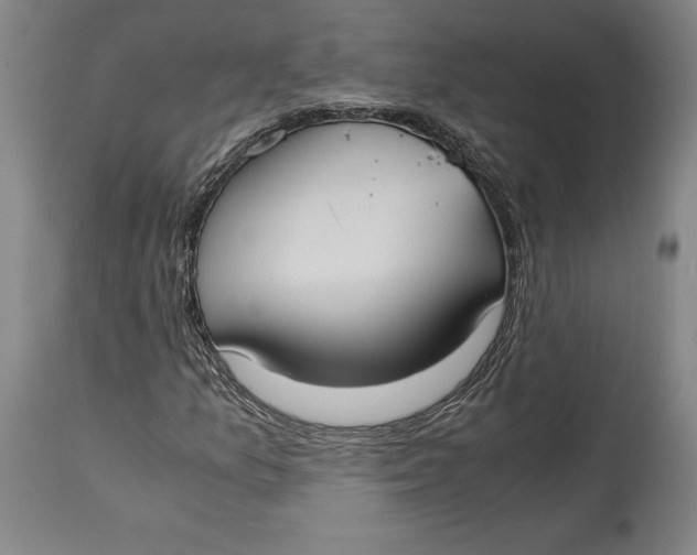 X0000114621157200911101208