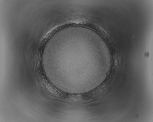X0000114621158200911101208