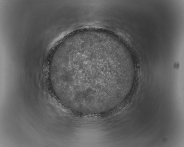 X0000114621159200911101208