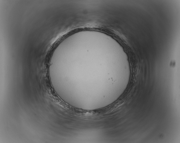 X0000114621160200911101208